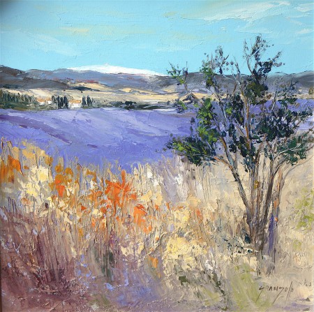 Provence - 50x50