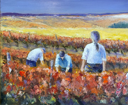 Vendanges tardives en Provence
