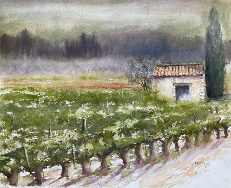 vignes et verger sous le ventoux