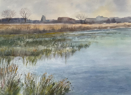les marais de Beauchamp à Arles  76 x 57 cm
