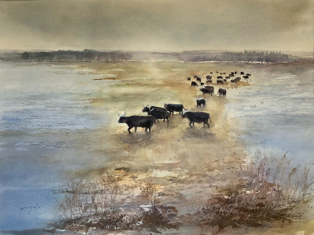Camargue