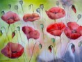 /album/galerie-de-photos-aquarelles/img-6326-jpg/
