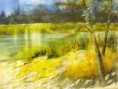 /album/galerie-de-photos-aquarelles/img-6330-jpg/