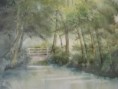 /album/galerie-de-photos-aquarelles/img-6329-jpg/