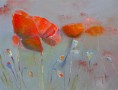/album/galerie-photos/coquelicots-jpg/