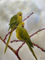 /album/galerie-de-photos-aquarelles/img-3793-jpeg/