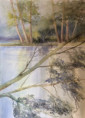 /album/galerie-de-photos-aquarelles/img-7379-jpg/