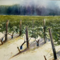 /album/galerie-de-photos-aquarelles/img-0154-jpeg/