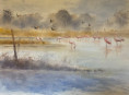 /album/galerie-de-photos-aquarelles/img-1319-jpeg/